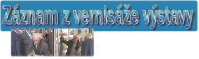 vernisaz_logo